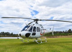 AS350FX2 AS350FX2